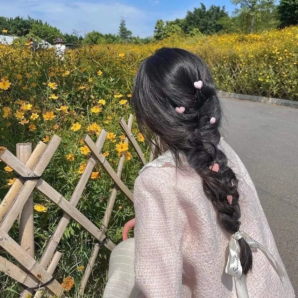 好家伙先生